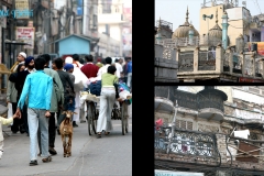 India-J